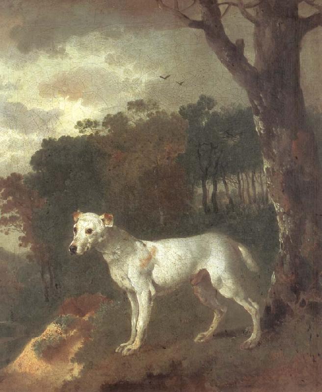 Thomas Gainsborough Bumper,a Bull Terrier France oil painting art